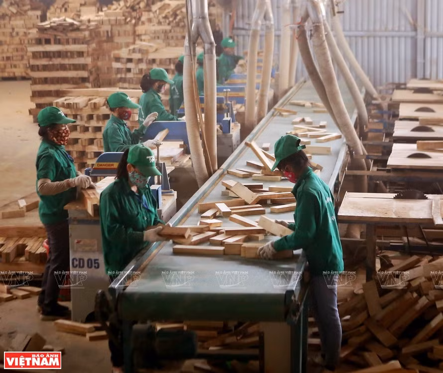 广治省服务出口的木材加工业。图自越通社/越南画报