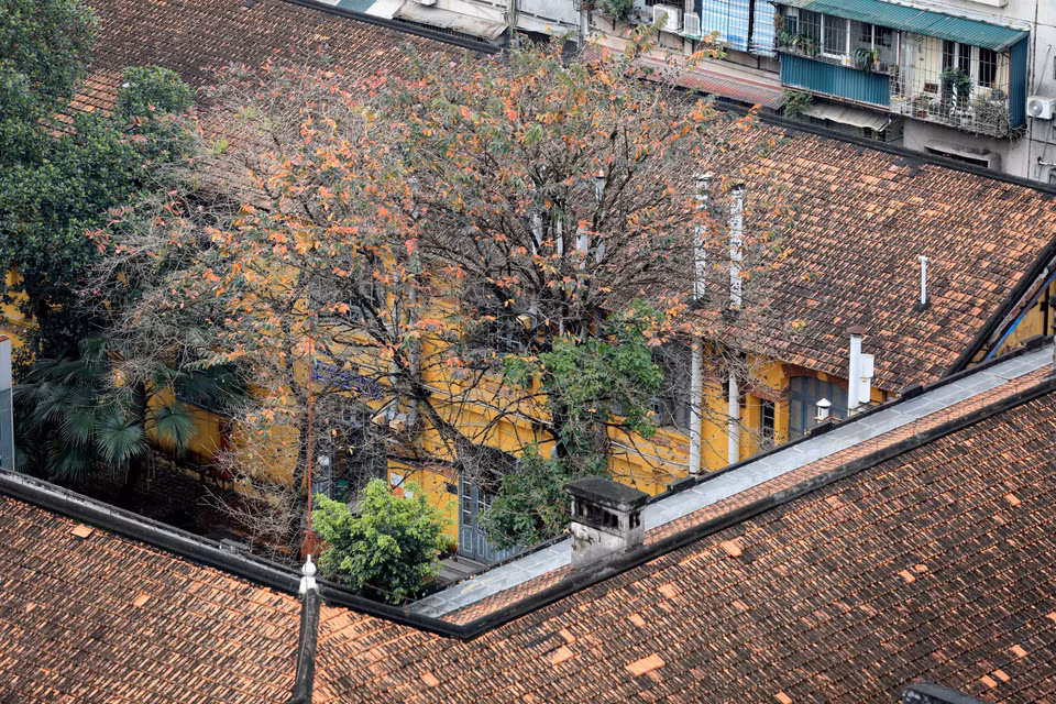 黎圣宗街上的药科大学。图自越通社