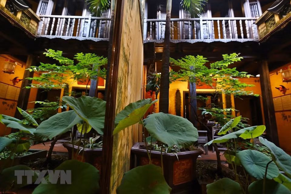 静尝茶味和接待客人的空间。图片来源：越通社