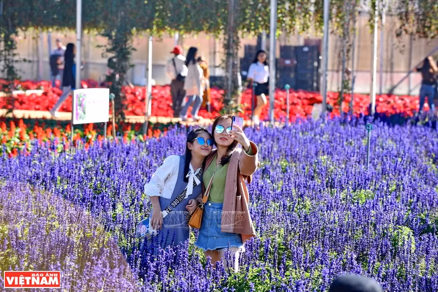 游客参观万成花村。越通社记者 清和 摄