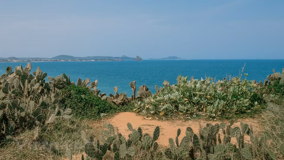 《我看见黄花在绿草中摇曳》影片播放后，影片取景地富安省闻名远近并一直是国内外游客喜爱的旅游目的地。俄罗斯游客康斯坦丁•弗努科夫(Konstantin Vnukov)分享说，“这里风景优美，很特别。这里有石头、有蓝色大海和金灿灿的阳光。许多年轻人来到这里拍婚纱照。向远处看是渔民们抛网捕鱼的景象，真有趣。” 图片来源：Vietnam+