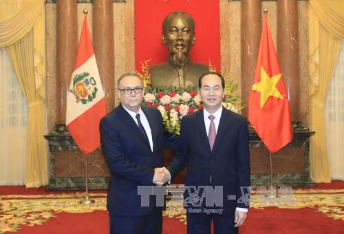  陈大光（右）会见秘鲁新任驻越大使莫雷利·萨尔加多。越通社记者 颜创 摄