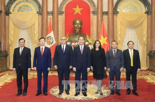  陈大光（右四）与秘鲁驻越大使莫雷利·萨尔加多（左三）合影。越通社记者 颜创 摄