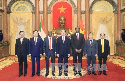  陈大光（右四）与苏丹驻越大使穆巴拉克·伊斯梅尔（左三）合影。越通社记者 颜创 摄