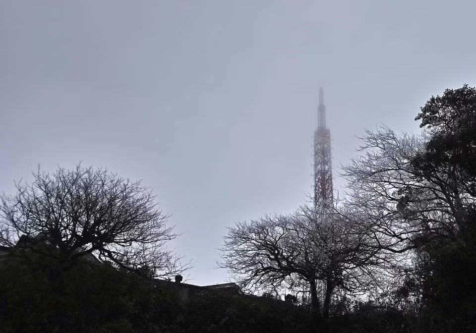 高平省高山出现结霜冰挂景象。越通社记者 国达 摄
