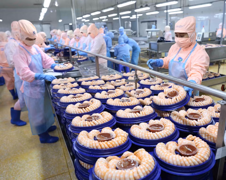 目前，越南水产品已出口到世界170个国家和地区。图自越通社