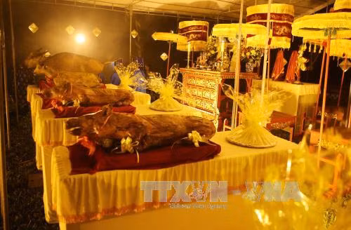 2017年顺化社稷祭礼隆重举行（图片来源：越通社）