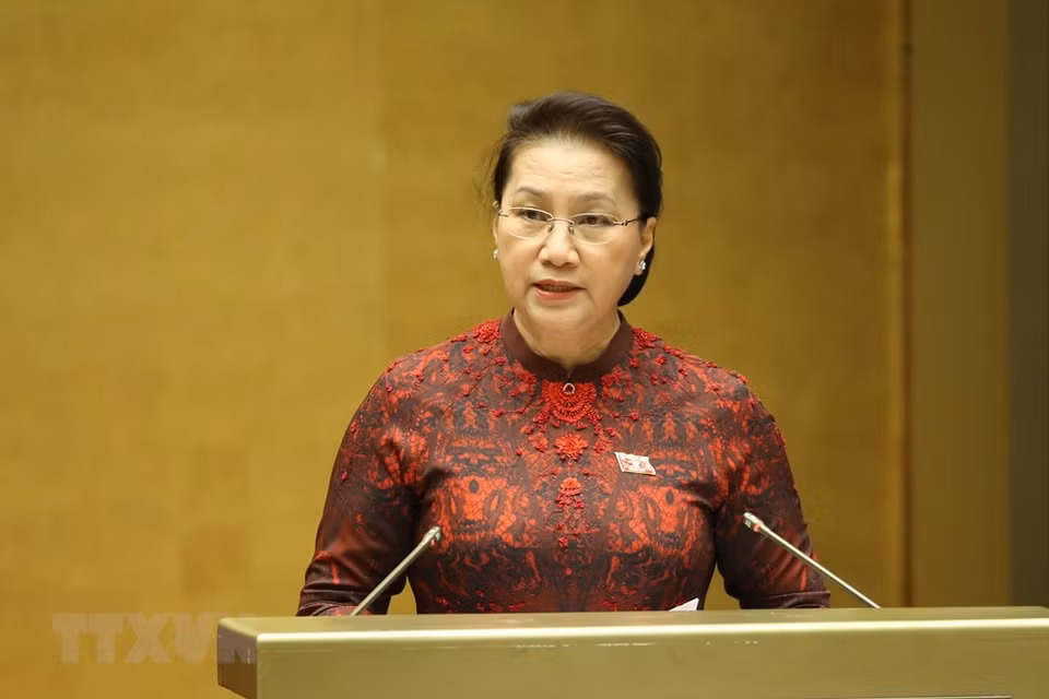 越南国会主席阮氏金银在会上发表讲话。越通社记者 杨江 摄