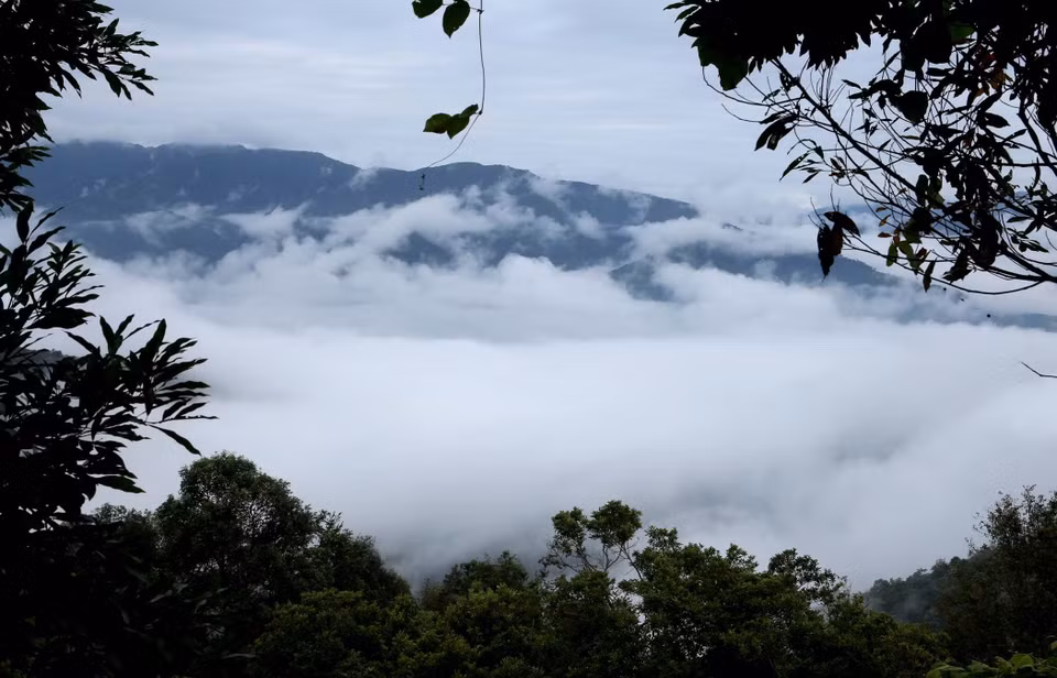 站在卡陵乡的任何地方，特别是早晨，游客都有一种置身于云海之中的感觉。图自 越通社