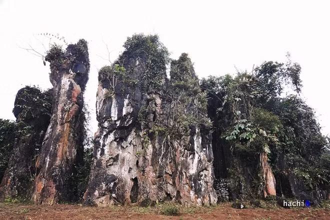 石山神群体。（图片来源：vnexpress.net）