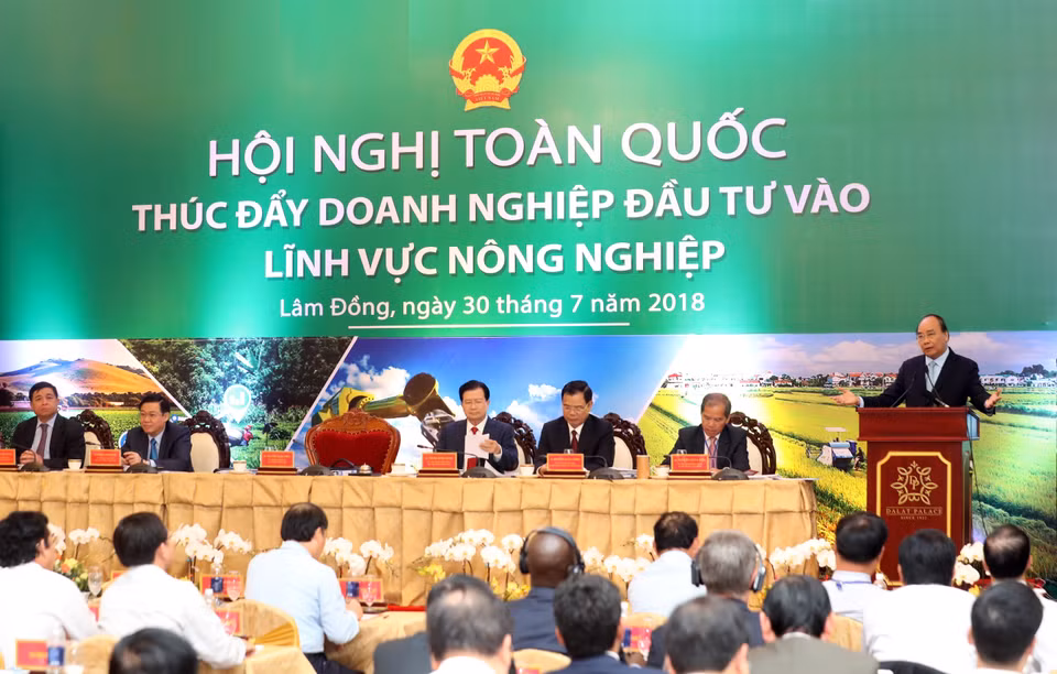 阮春福在会上发表总结性讲话。越通社记者 统一 摄