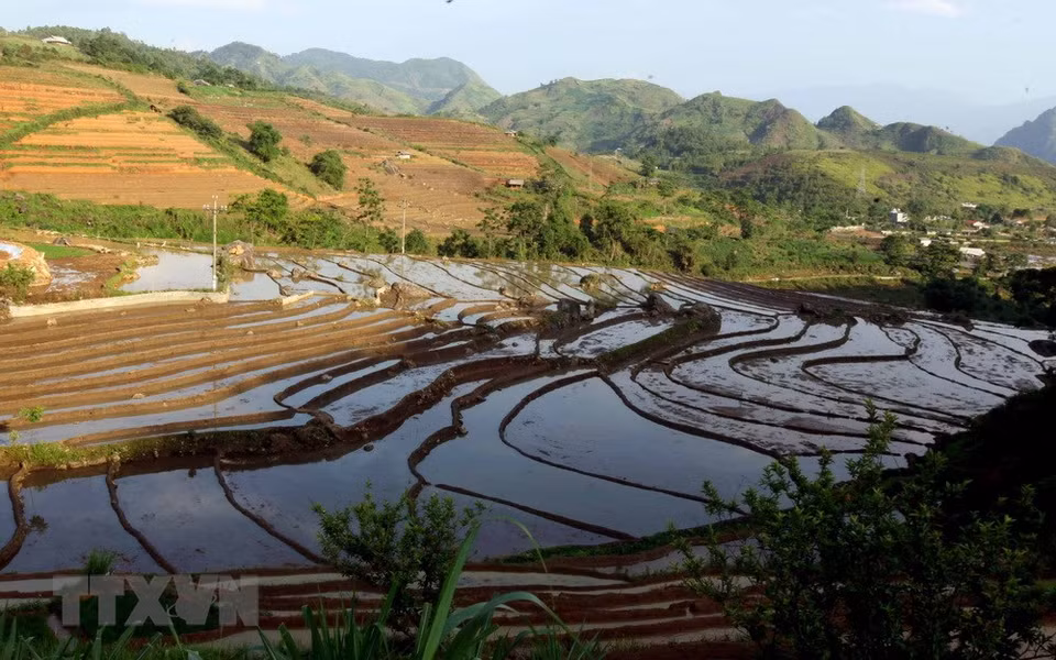 三堂县塔棱（Tả Lèng）乡田地已装满水。越通社记者 贵忠 摄
