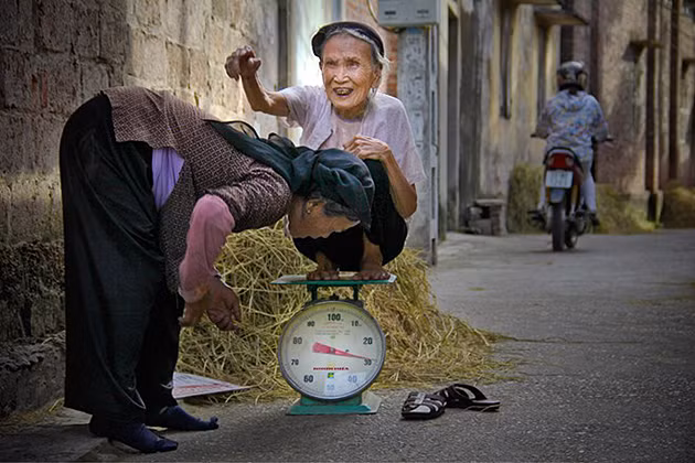 （图片来源：越南《人民报网》）