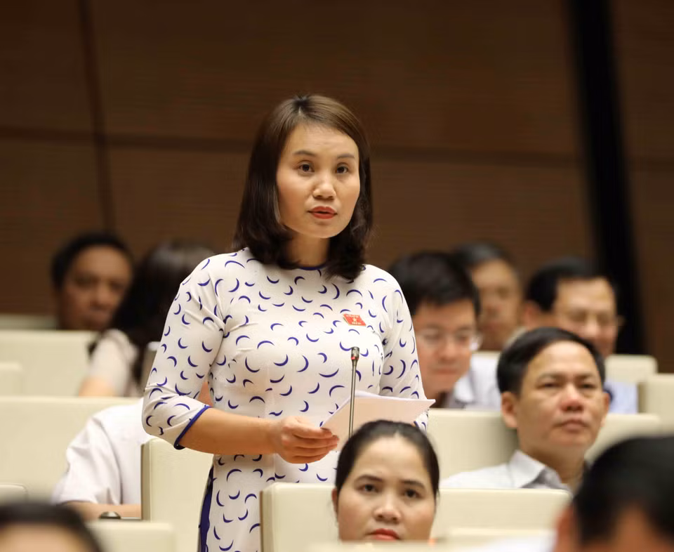  清化省国会代表裴氏水提出问题。（图片来源：越通社）