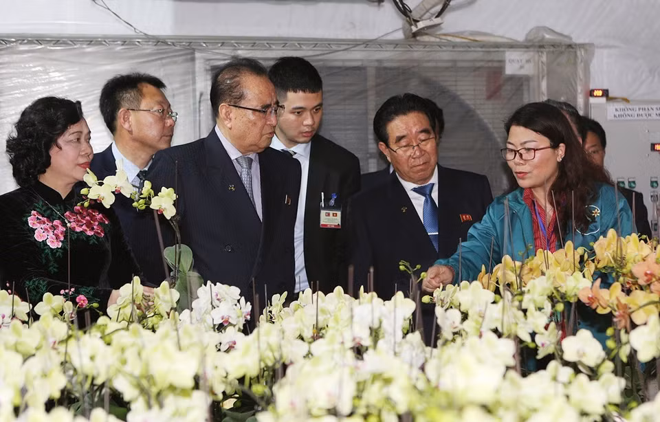 —2月28日下午，朝鲜劳动党领导代表团已参观河内市丹凤县丹淮合作社兰花种植模式。图自越通社