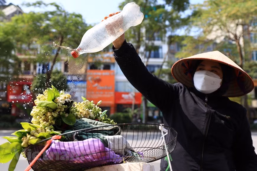目前，市场上柚花的价格约2万- 3万越南盾/100公克。图自越通社。