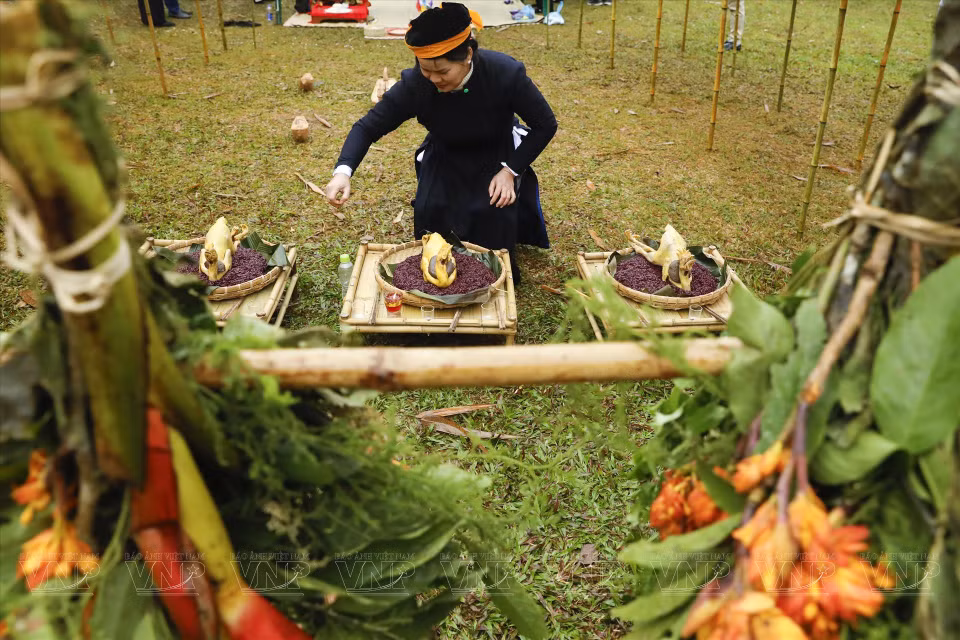 人们准备各种祭品送二娘上天。二娘节的举办目的是祈求风调雨顺、五谷丰登。图自越通社/《越南画报》