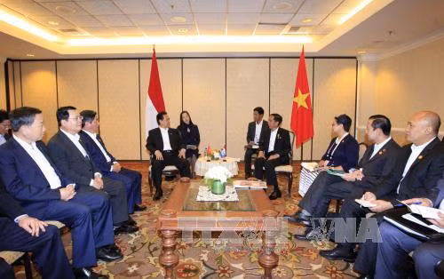  越南政府总理阮晋勇与印尼总统佐科 · 维多多举行了双边会晤。（图片来源：越通社）