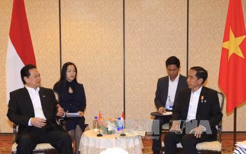  越南政府总理阮晋勇与印尼总统佐科 · 维多多举行了双边会晤。（图片来源：越通社）