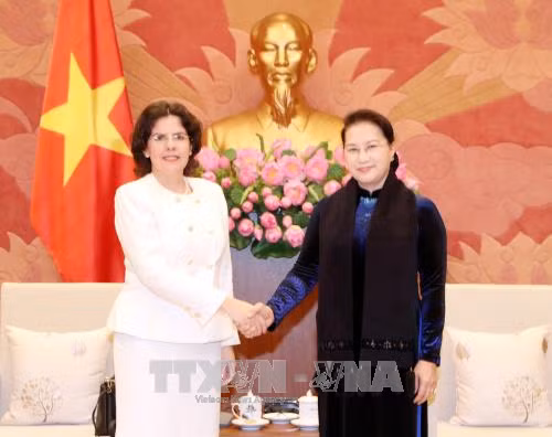 越南国会主席阮氏金银（右）与古巴驻越南大使莱尼斯•托雷斯•里维拉（Lianys Torres Rivera）。（图片来源：越通社）