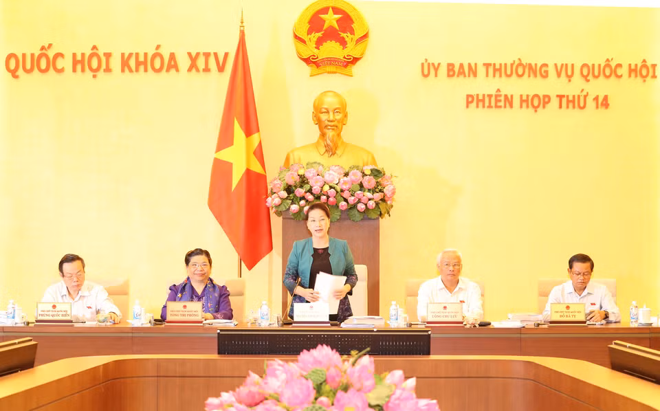 阮氏金银在会议上发言。（图片来源：越通社）