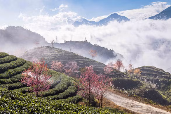 景色如画，就像梦境一般美丽。图自互联网