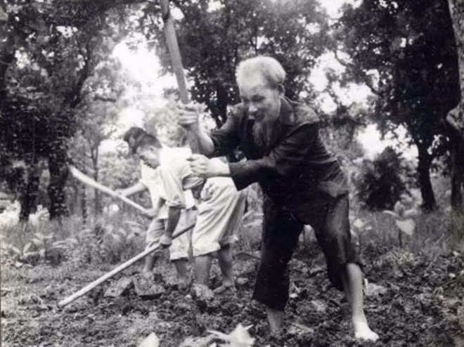 1957年，胡伯伯在主席府花园里耕地种菜。图自越通社