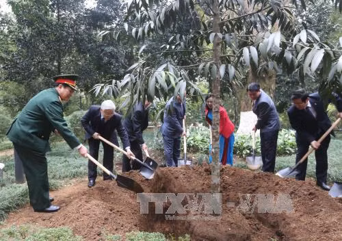  阮富仲总书记在 K9 遗迹区胡志明主席办公室前植树留念。（图片来源：越通社）