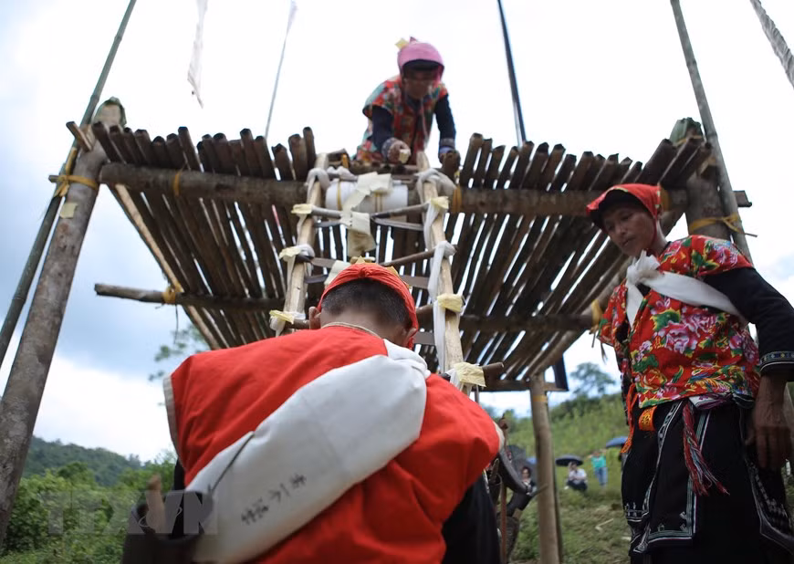 瑶族用竹竿在上面建起祭坛，一边扎以横木作梯。（图自越通社记者周校 摄）