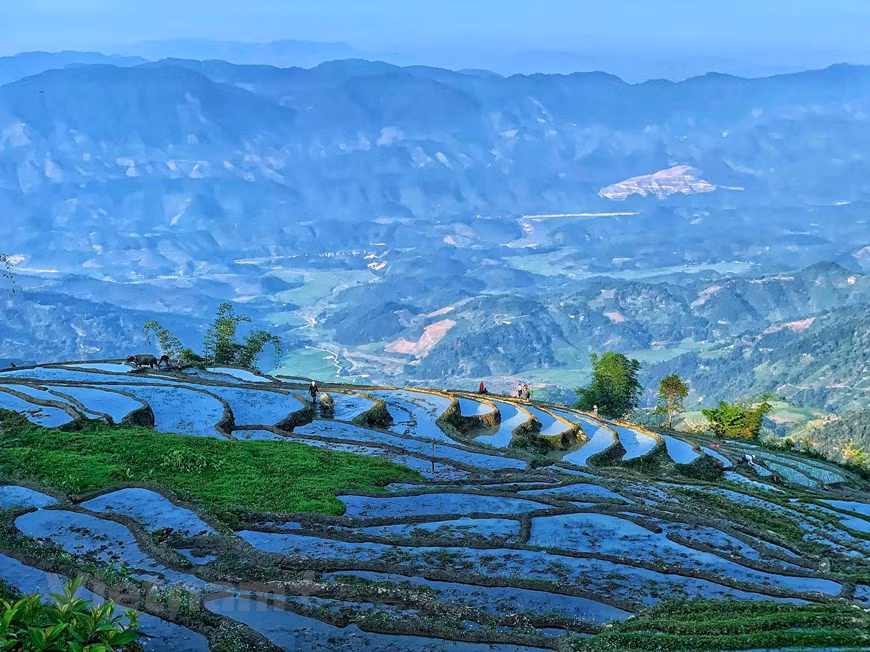 西北山区一年只插秧一季，在夏季初雨从空中降落，民族同胞们将开始使用竹管将雨水从山沟引入到梯田中。图自Vietnam+
