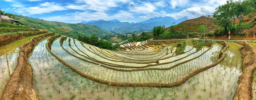 每逢备耕期，民族同胞们将开始使用竹管将雨水从山沟引入到梯田中。图自Vietnam+