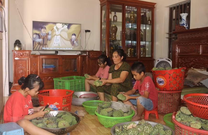 莲子就是营养价值较高的食品，对人们身体健康具有好处。图自越通社