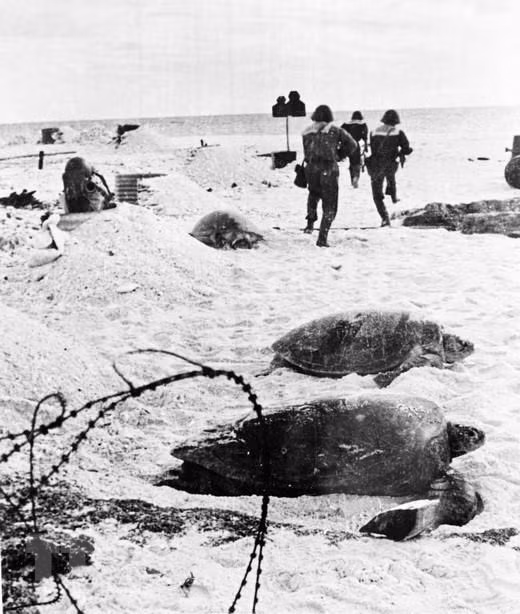 1975年4月25日，126号海军特工力量解放长沙群岛山歌岛。越通社记者 黎日 摄