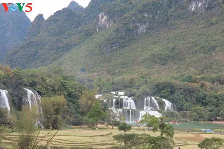 远看，板约瀑布如同山水有情的画卷。（图片来源：越南之声）