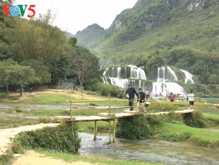 简陋的竹桥也增添了当地景观的美。（图片来源：越南之声）