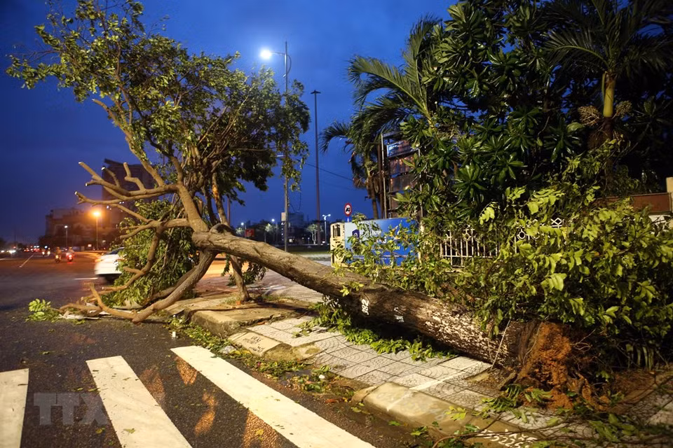 第九号台风来袭，岘港市许多居民房屋屋顶被卷走，多条街道被洪水淹没，250多棵树被吹倒。图自 越通社