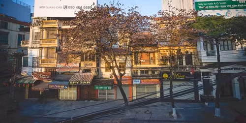 季节交接之间，河内每一条路显得十分浪漫，给人带来怀旧的感觉。（图片来源：《人民军队报》）