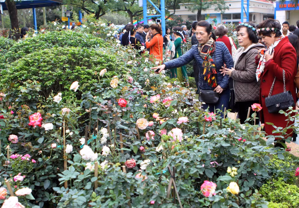 活动吸引众多当地居民和游客前来参观。越通社记者 青松 摄