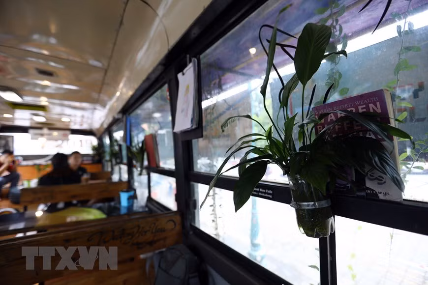 经过仔细加工，这些塑胶瓶成为独特的花瓶。（越通社记者 辉雄 摄）