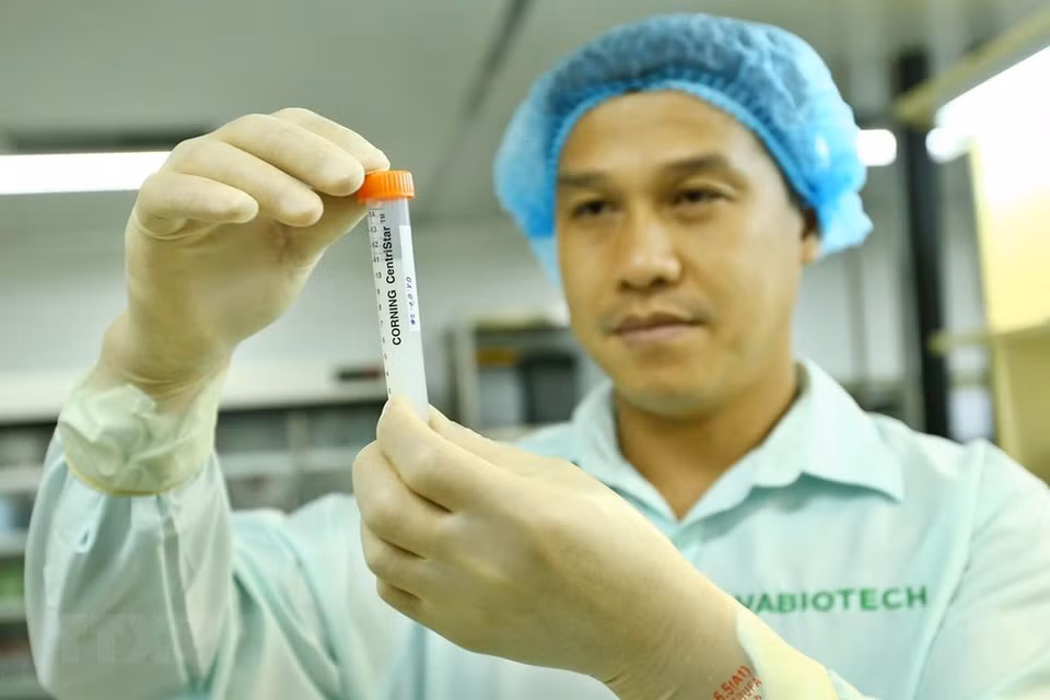专家在将研究过程后一种疫苗半成品进行动物试验。越通社记者 明决 摄