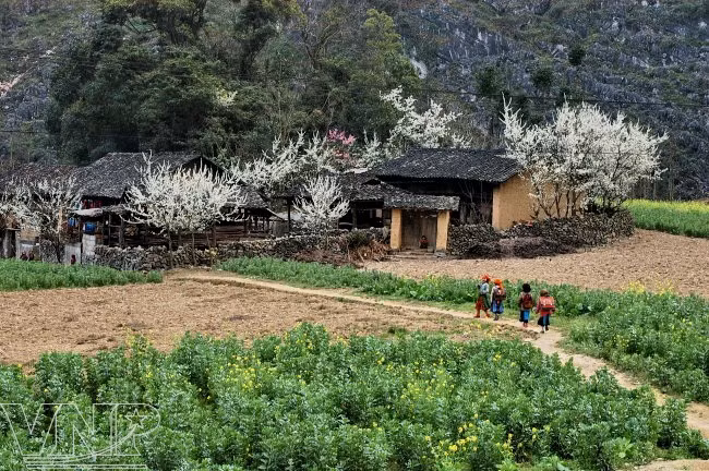 生平宁静的高街（图片来源：越通社）