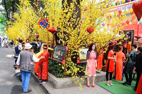 早上，梅花、桃花街吸引了很多人前来参观（图片来源：越南《人民军队报》） 