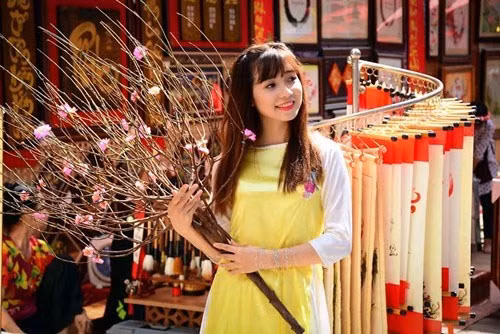 梅花、桃花街是胡志明市人民喜爱的春季出游目的地（图片来源：越南《人民军队报》）