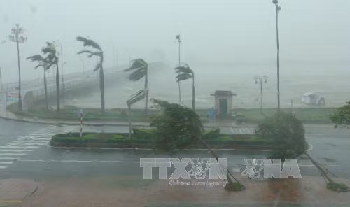 第十号台风已登陆广平省，造成特大暴雨，内陆普遍出现​12-13级大风。（图片来源：越通社） 