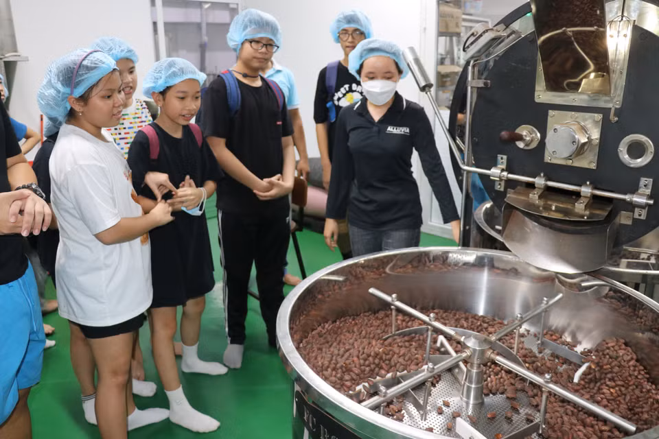小朋友们倾听关于用于生产巧克力的可可豆烘焙过程的介绍。图自越通社