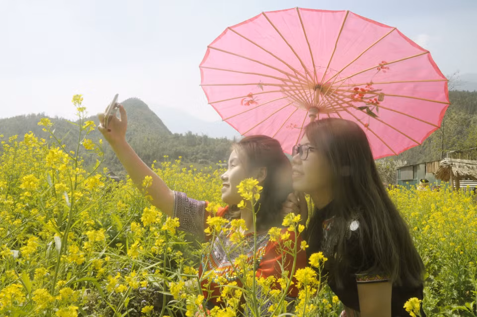 美丽的芥花田迷住游客。越通社记者 陆香秋 摄