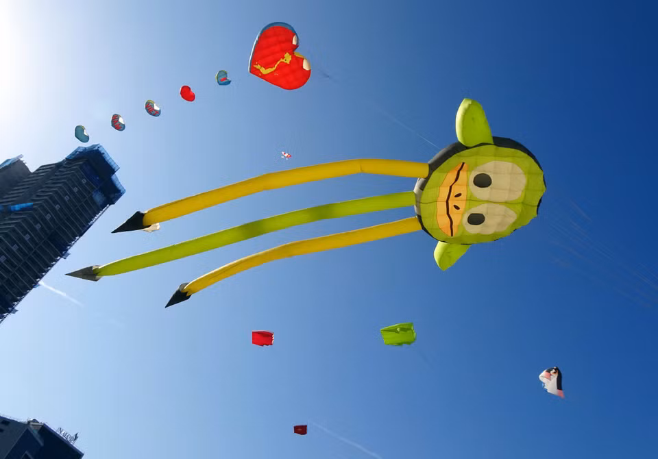 天空中飞满了各种各样的风筝。越通社记者 陈黎林