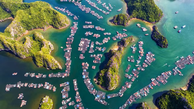 海防市最美丽目的地——兰夏湾。图自因特网
