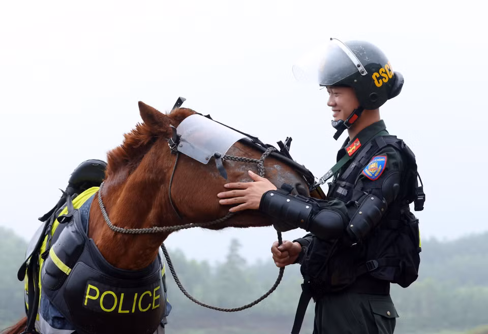特警骑兵团战士阮方南上士与名叫“幸运”的马排练后一同休息。图自越通社