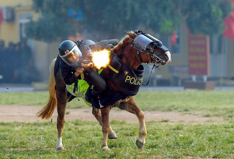 马背上射击是一项难度较大的练习，但特警骑兵团的战士们仍依然熟练地完成。图自越通社